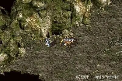 天狼蜘蛛